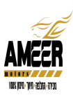 אמיר מוטורס
