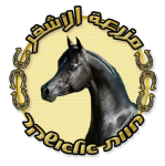 Ashkar Arabians